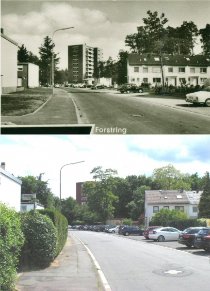 Datei:Forstring 2 196x 2008.JPG