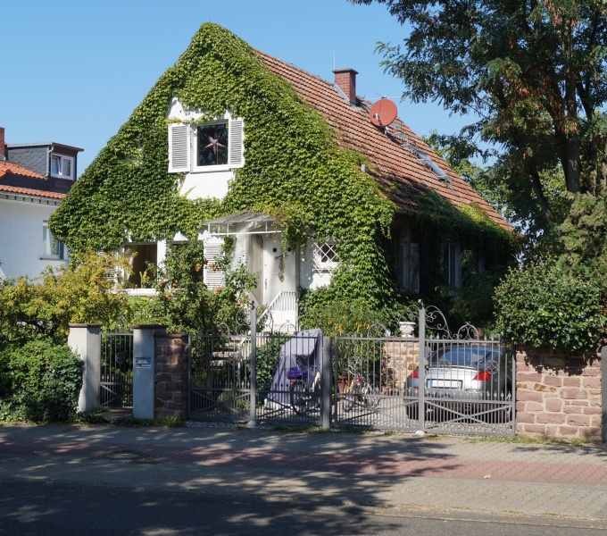 Datei:2015 Dieburger 54 (1).JPG