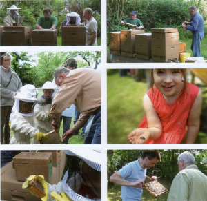 BZV Langen 2009 02.png