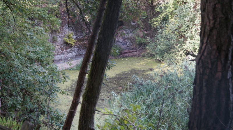 Datei:2015 Alter Steinbruch (2).JPG