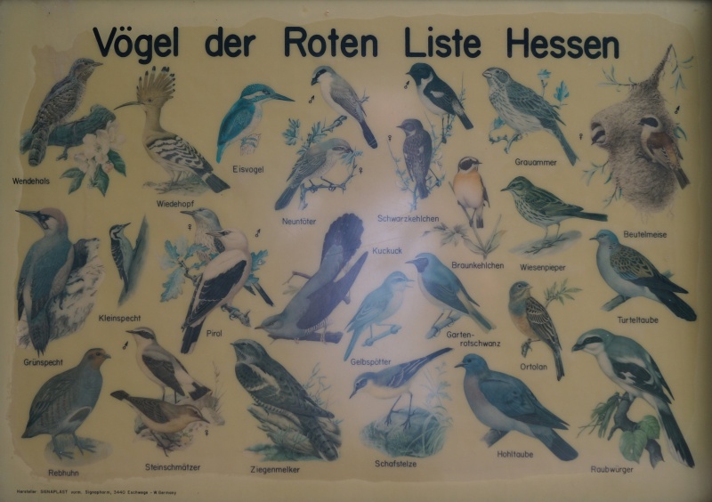 Datei:2015 Mühltal (4).JPG