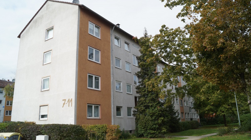 Datei:2015 Ginsterbusch 7-11 (2).JPG