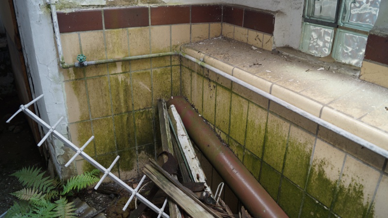 Datei:2016 Schererhalle (11).JPG