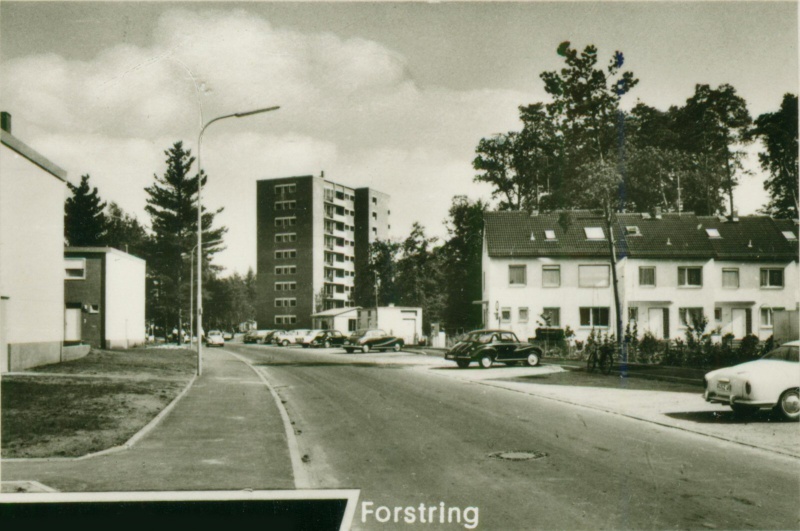 Datei:196x Forstring 2.jpg