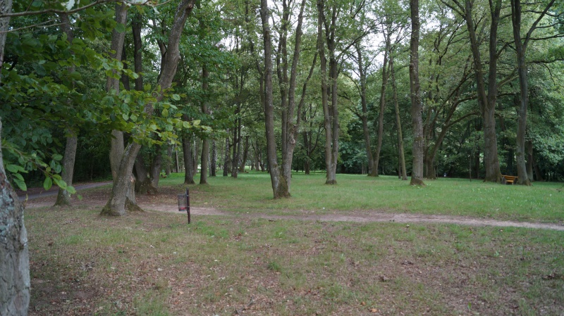 Datei:2015 Paddelteich (18).JPG