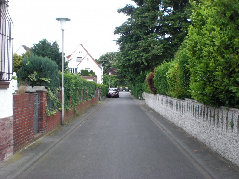 Datei:2008 Unter den Eichen (2).JPG