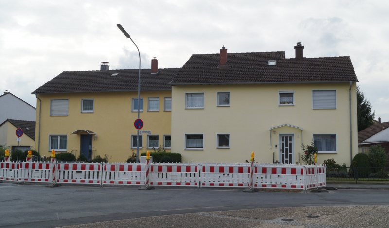 Datei:2015 Ginsterbusch 2-4 (1).JPG