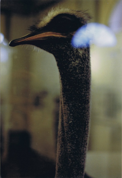 Datei:StdArL 01209.jpg