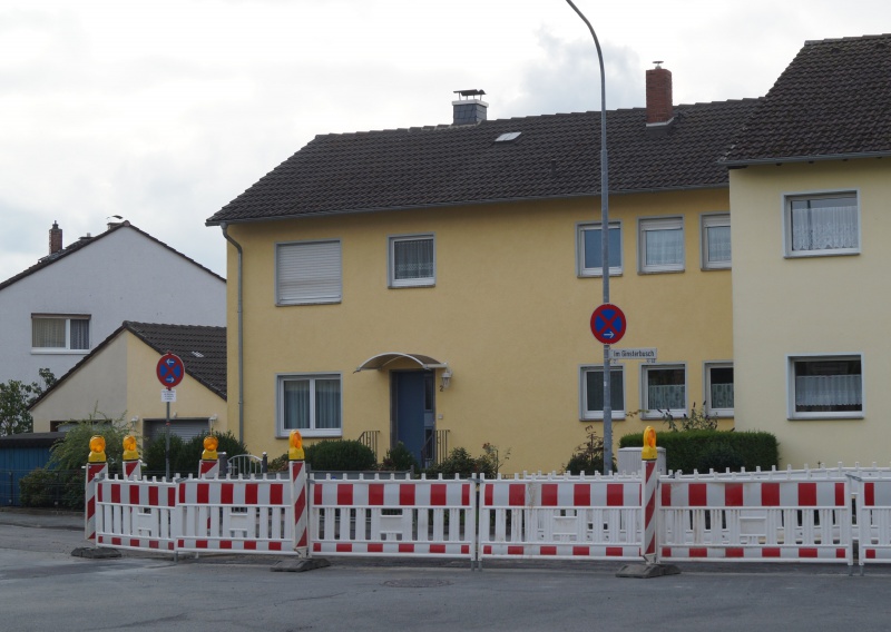 Datei:2015 Ginsterbusch 2 (1).JPG