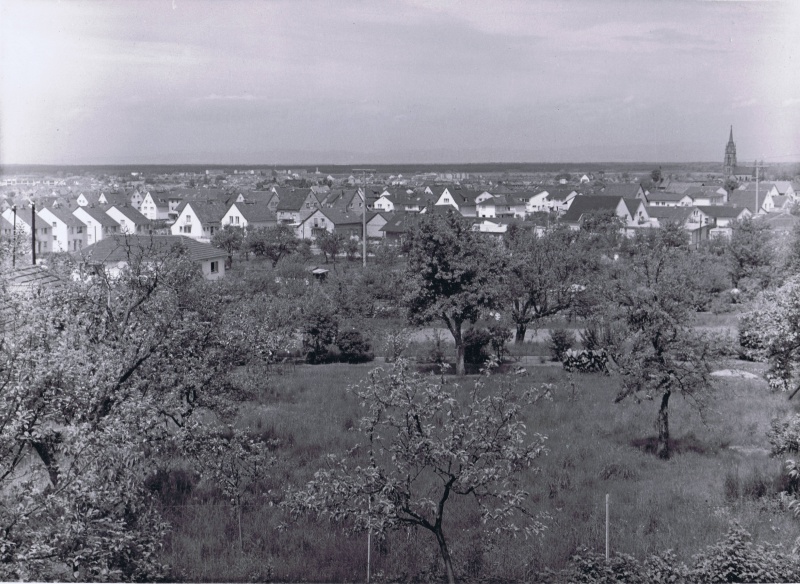 Datei:StdArL 00554.jpg