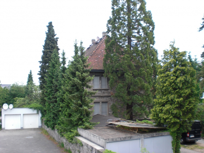 Datei:2008 Mörfelder 11 (4).JPG