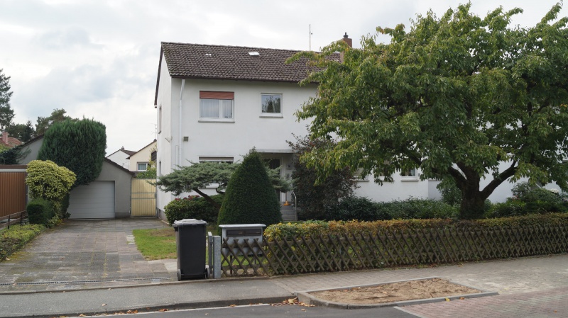 Datei:2015 Ginsterbusch 14 (1).JPG