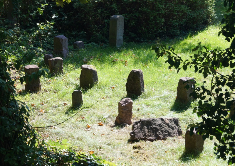 Datei:2015 Dieburger 53 (6).JPG