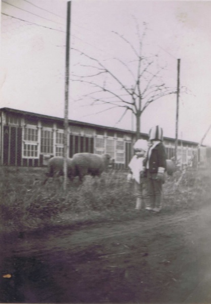 Datei:StdArL 00052.JPG