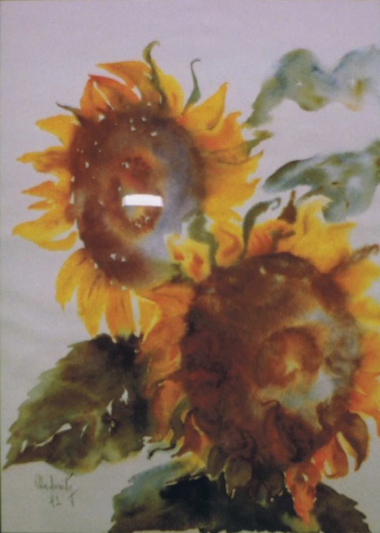 Datei:StdArL 00444.JPG