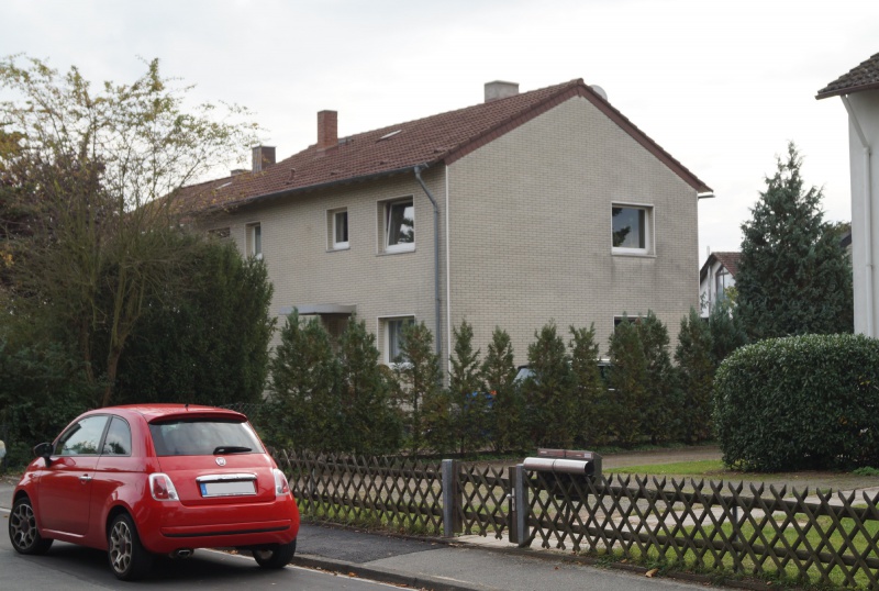 Datei:2015 Ginsterbusch 8 (2).JPG