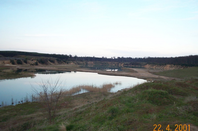 Datei:2001 Sehring (6).JPG