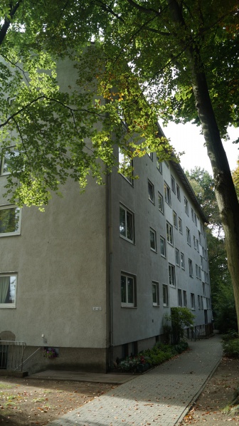 Datei:2015 Ginsterbusch 41-43 (3).JPG