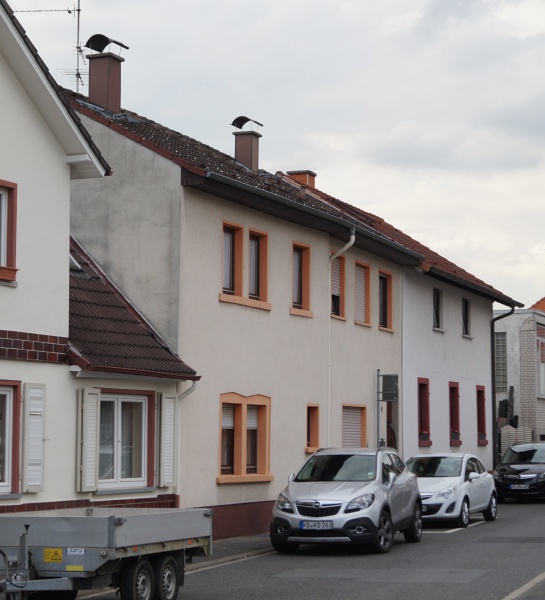 Datei:2015 Friedhofstr 9 (1).JPG