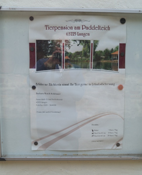 Datei:2015 Außerhalb 13 (8).JPG