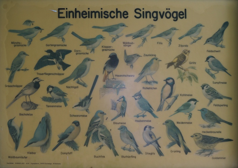 Datei:2015 Mühltal (3).JPG