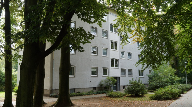 Datei:2015 Ginsterbusch 41-43 (2).JPG