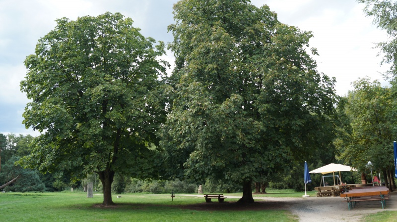 Datei:2015 Mühltal (1).JPG