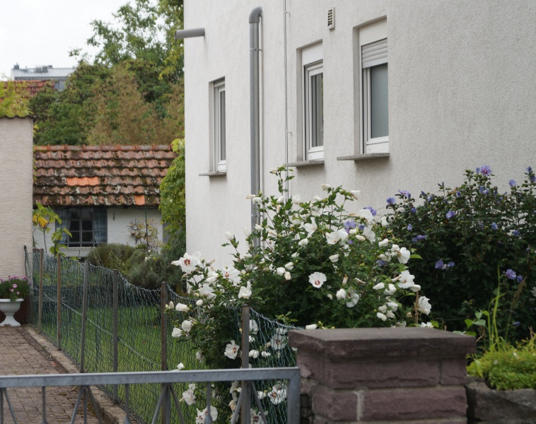 Datei:2016 Langestr 16 (4).JPG