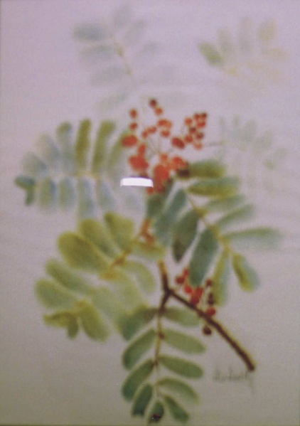 Datei:StdArL 00457.JPG