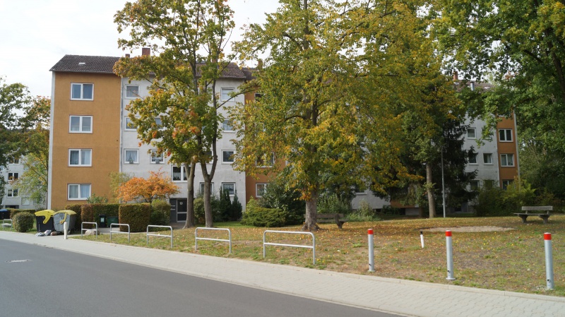 Datei:2015 Ginsterbusch 19-23 (4).JPG